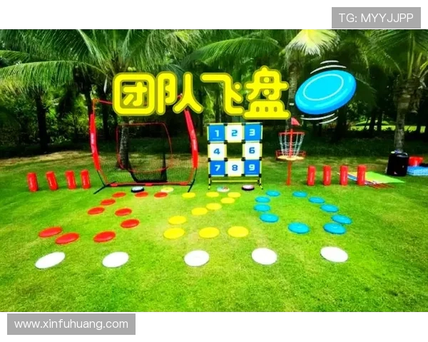 飞盘飞扬北京飞盘队的成长历程与梦想追逐