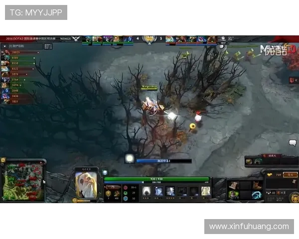 DOTA2精彩解析：深入了解IG战队的团队配合与战术策略
